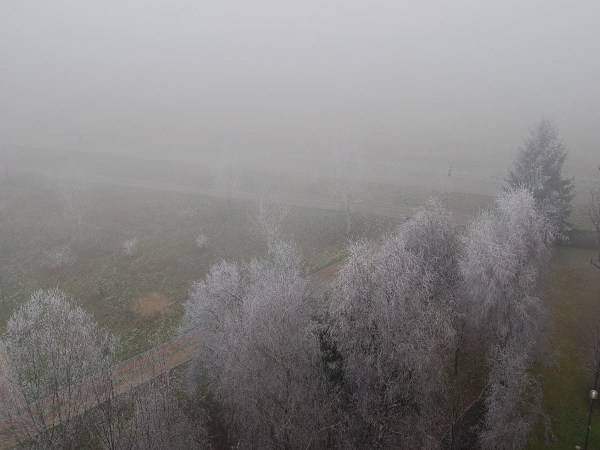 La galaverna del 15 Gennaio
