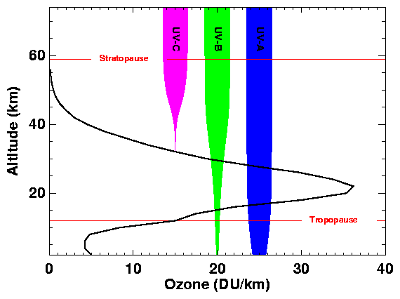 UV filtrati dallo strato di ozono