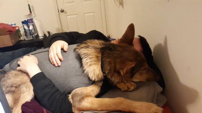 Tenero abbraccio con il cane