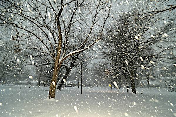 Una magica nevicata...