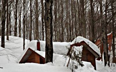 Neve a Bocca della Selva (2)