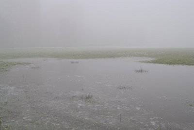 Pozze ghiacciate e nebbia fitta a Milano