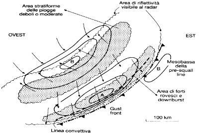 Figura schematica di una tipica squall line