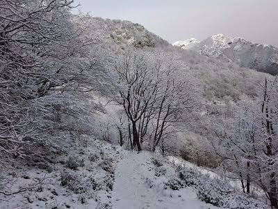 Strada verso Pizzo San Michele