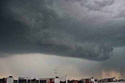 Enorme Shelf il 24 a Milano