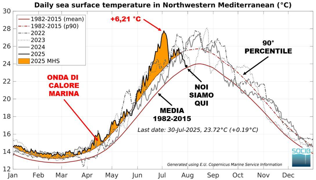 Andamento temperatura superficiale Mediterraneo nord-occidentale luglio 2025