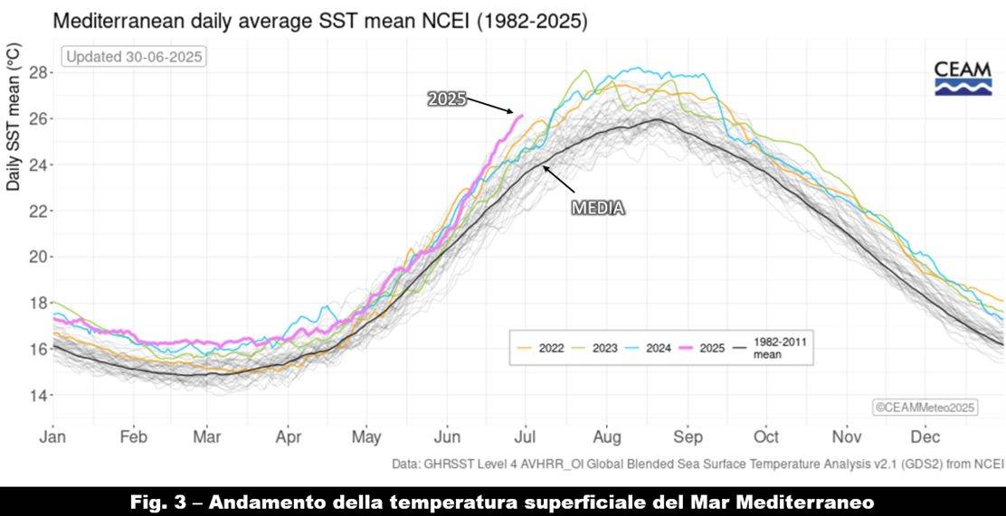 Andamento della temperaura superficiale del Mediterraneo