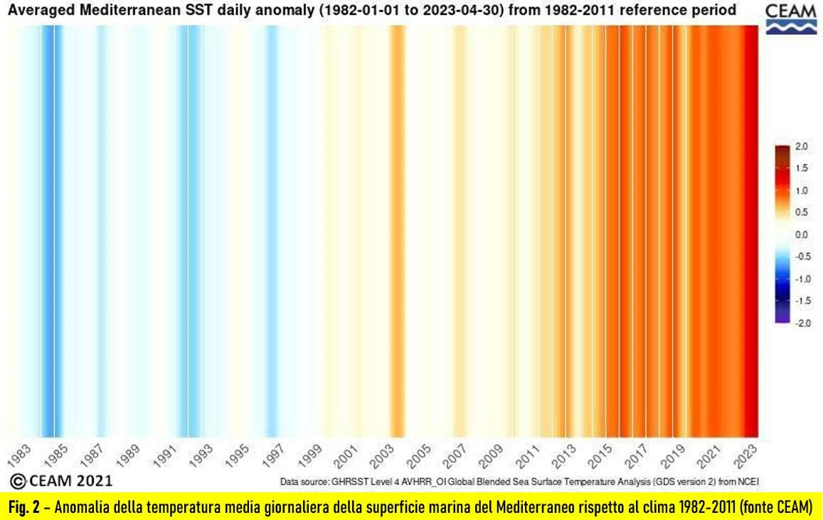 Anomalia temperatura del Mediterraneo dal 1982