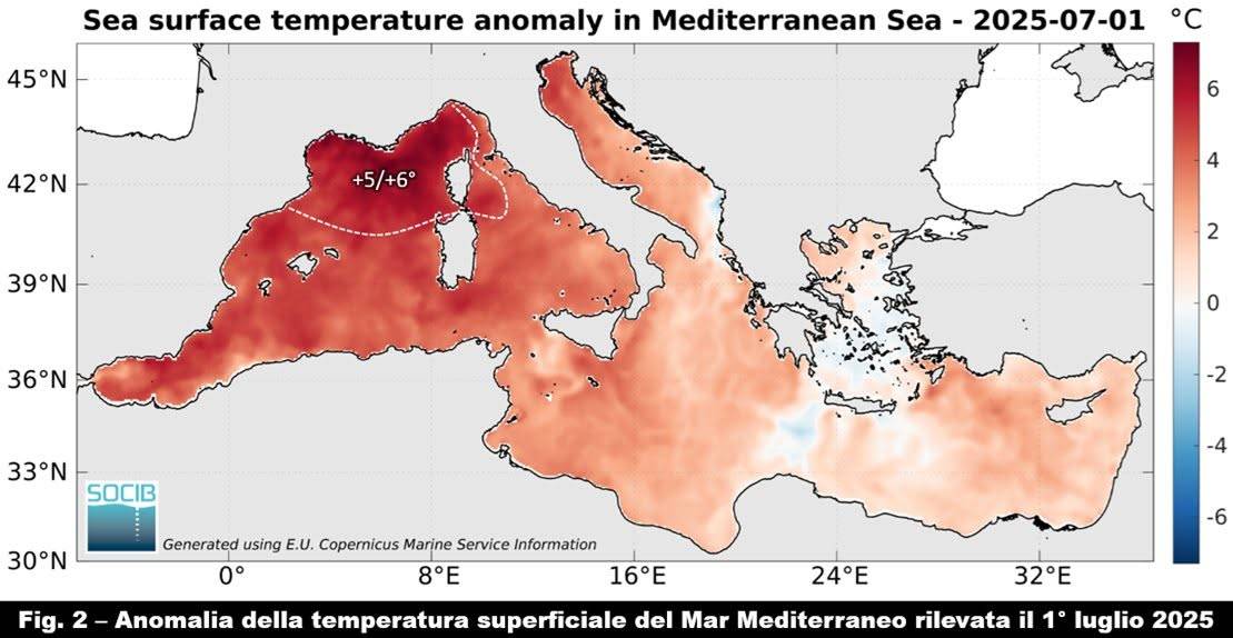 Anomalia della temperatura del Mediterraneo - 1 luglio 2025