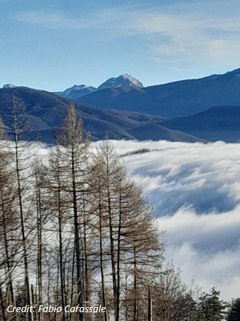 Altro esempio di nebbia