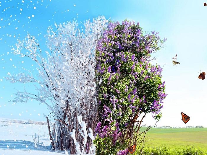 Dall'inverno alla primavera