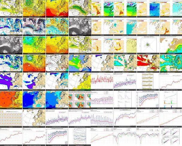 Mosaico con le mappe ECMWF