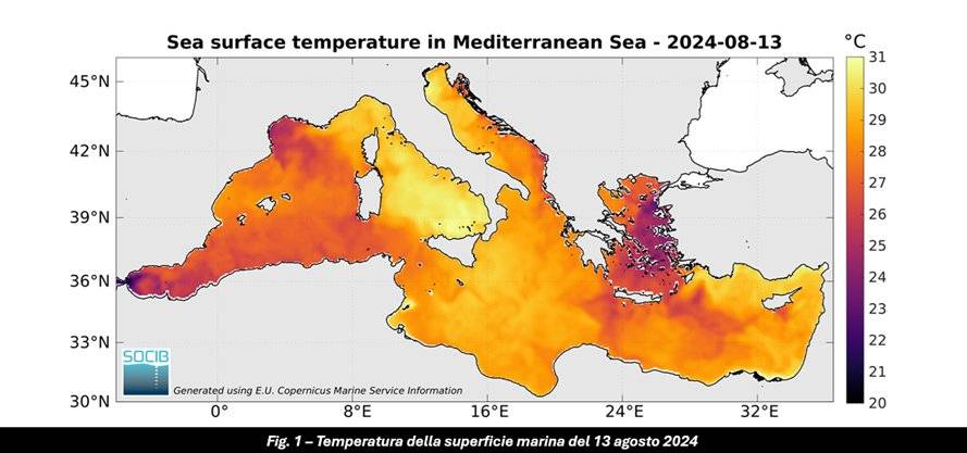 Temperatura superficiale del mare il 13 agosto 2024