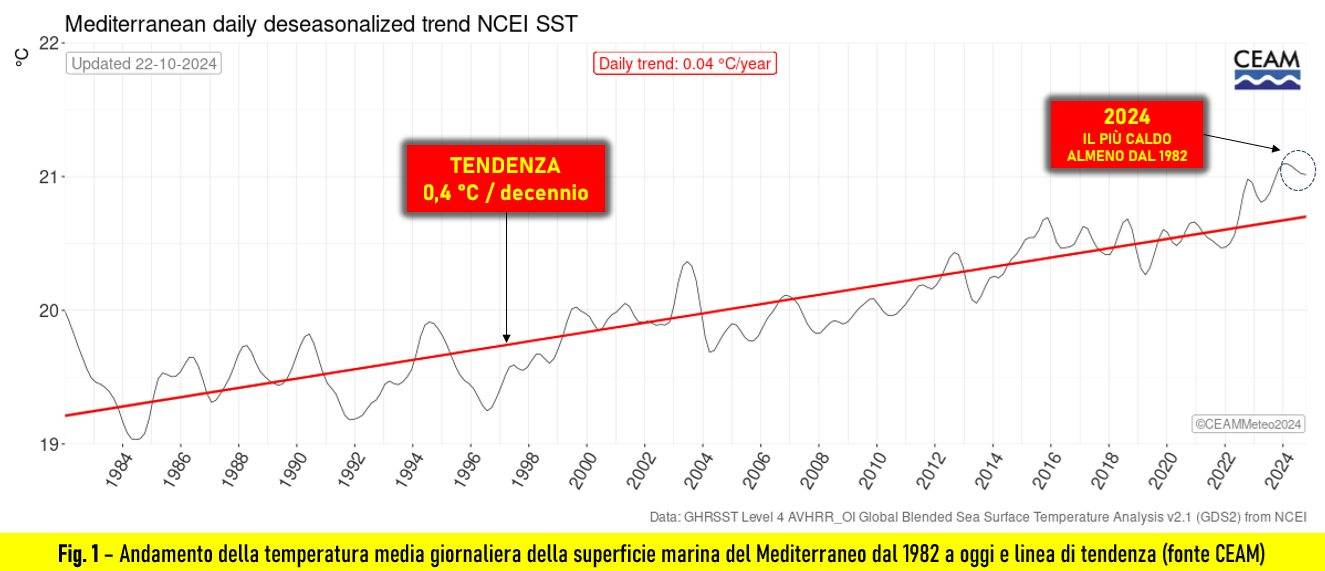 Temperatura del Mediterraneo dal 1982