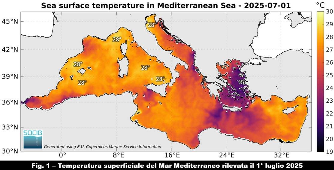 Temperature superficiali del Mediterraneo - 1 luglio2025