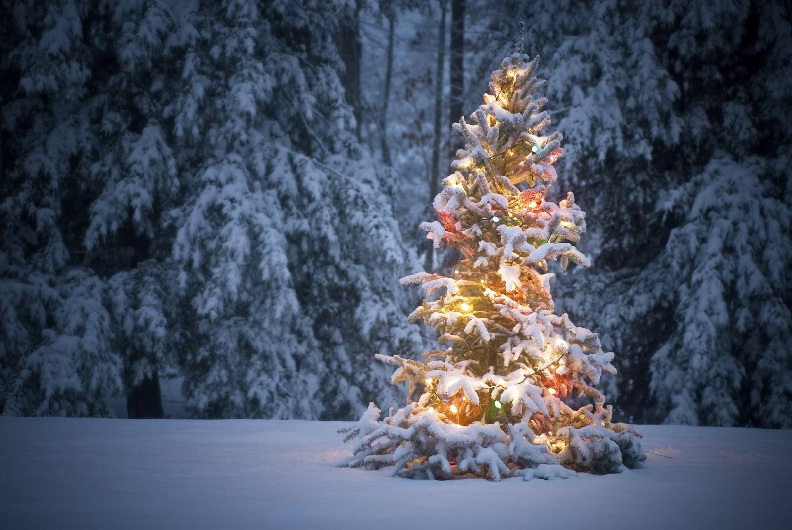 La magia del Natale con la neve