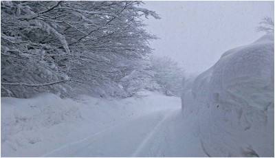 La neve, stupenda quanto temuta