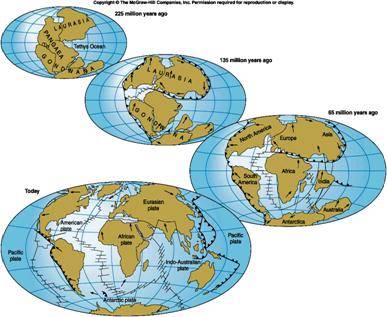 Pangea e nascita dei continenti