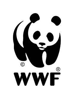 Il Panda: simbolo del WWF