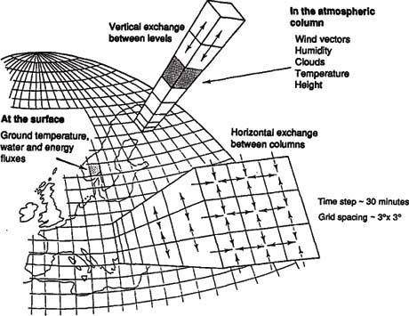 Griglia orizzontale e verticale