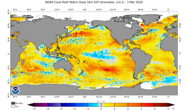 Anomalie di Temperatura Oceani