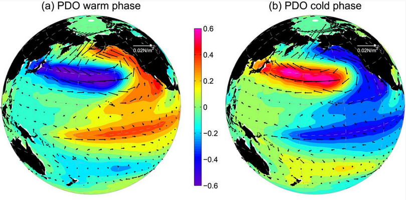 Le fasi della PDO (credit prfrainfall.com) Le fasi della PDO (credit prfrainfall.com)