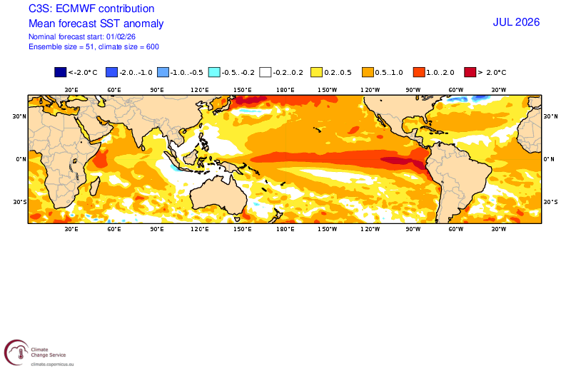 Proiezioni Luglio 2026 anomalie di temperatura oceaniche by ECMWF