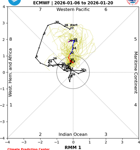 MJO in ripresa